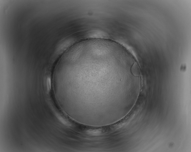 X0000103140061200808291349