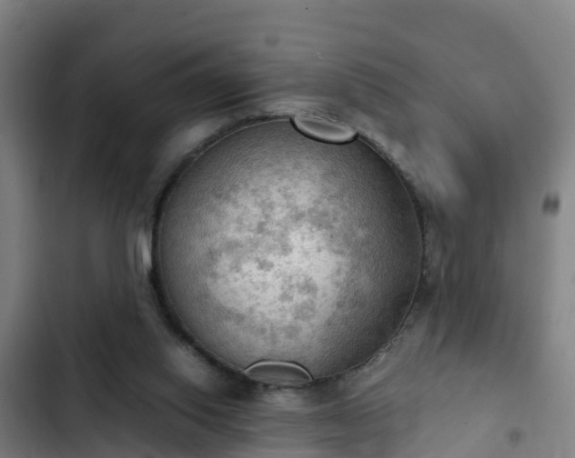 X0000103140062200808291349