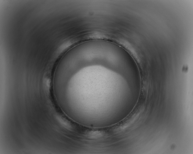 X0000103140063200808291349