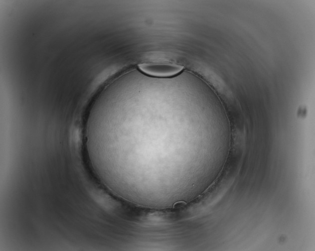 X0000103140064200808291349