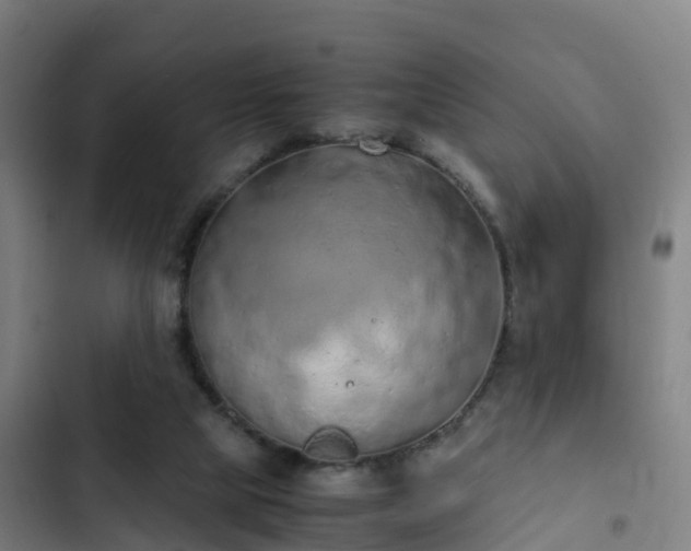 X0000103140065200808291349