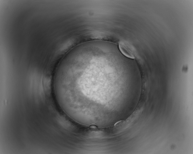 X0000103140066200808291349