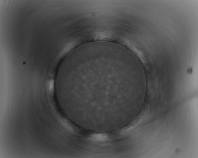 X0000103140067200808291349