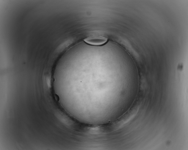 X0000103140068200808291349