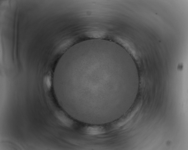 X0000103140069200808291349