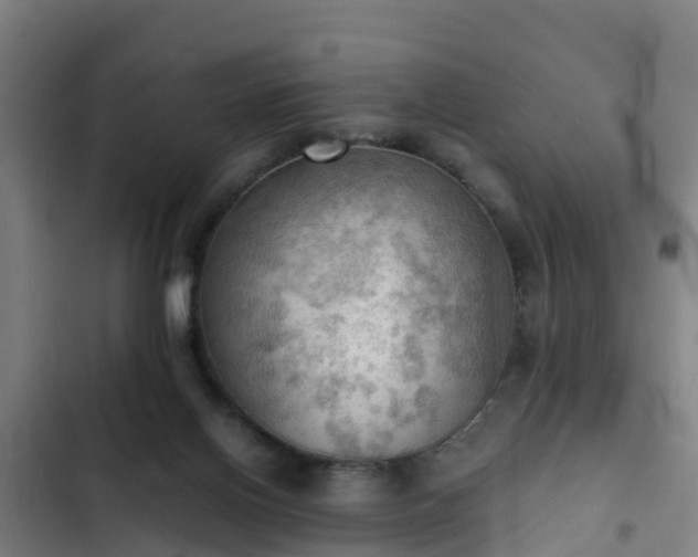 X0000103140070200808291349