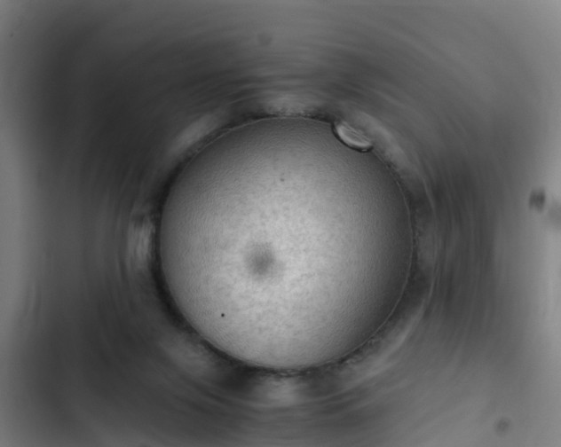 X0000103140071200808291349