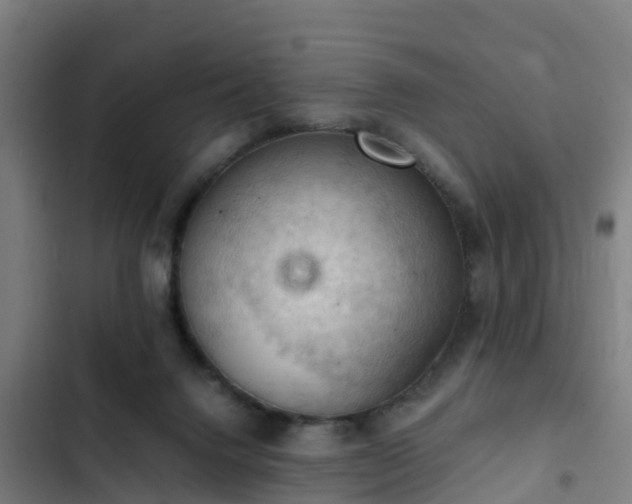 X0000103140072200808291349