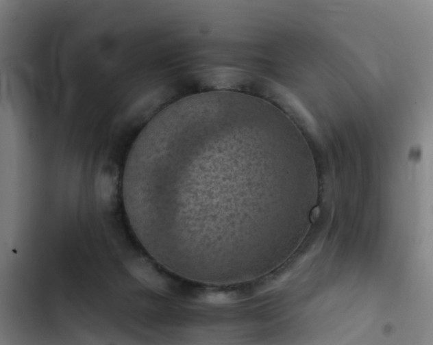 X0000103140073200808291349