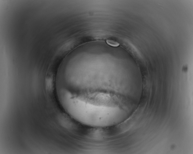 X0000103140074200808291349