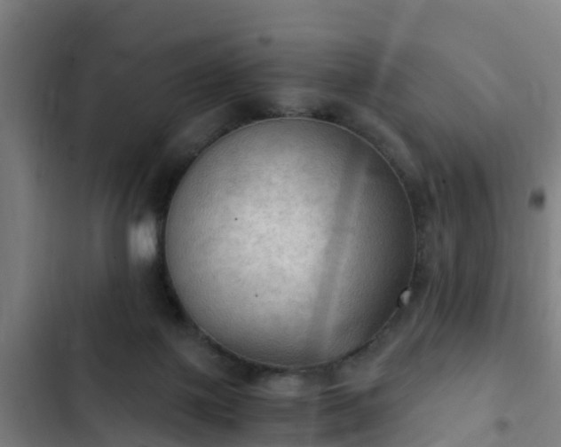 X0000103140075200808291349