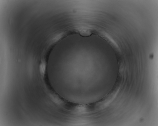 X0000103140076200808291349