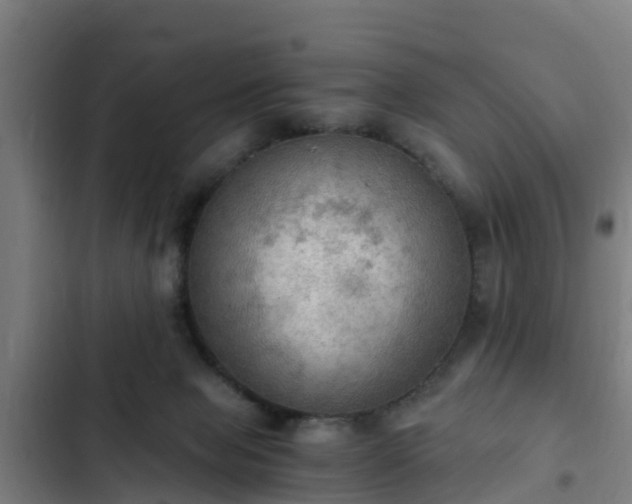 X0000103140077200808291349