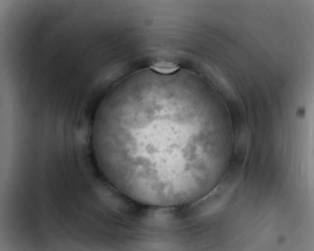 X0000103140078200808291349