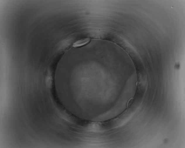 X0000103140080200808291349