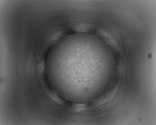 X0000103140081200808291349