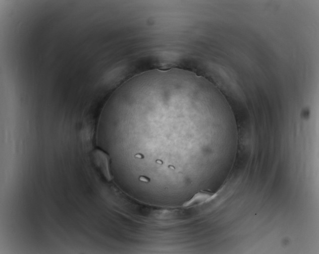 X0000103140082200808291349