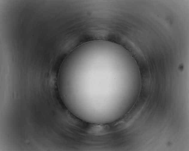 X0000103140083200808291349