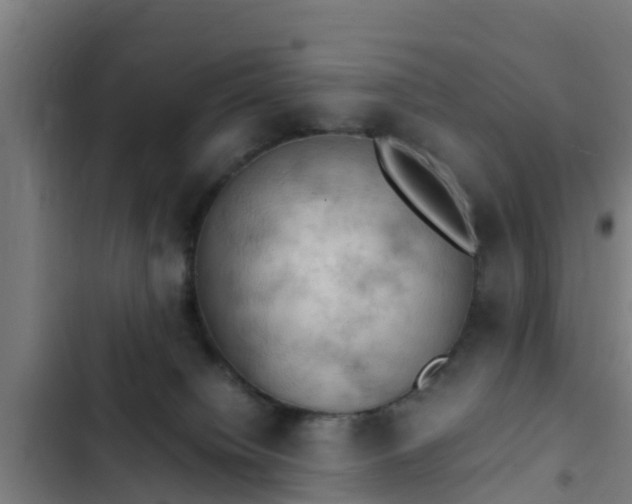 X0000103140084200808291349