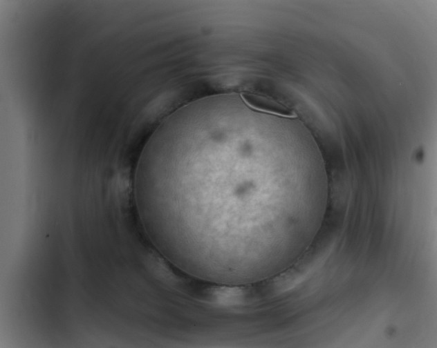 X0000103140085200808291349