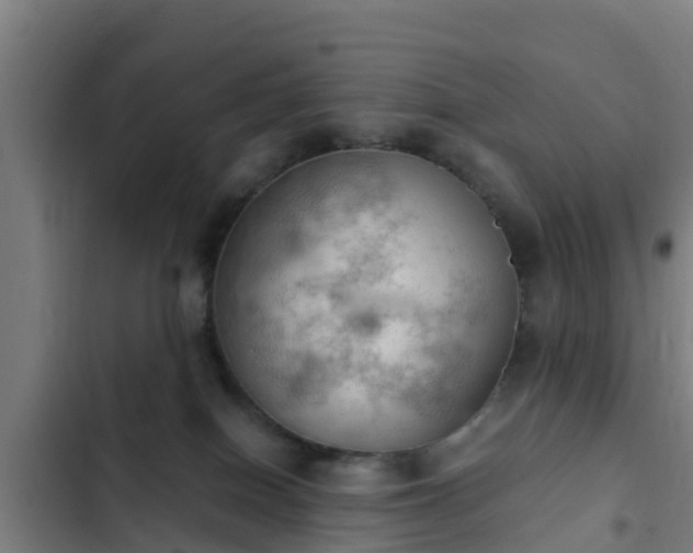 X0000103140086200808291349