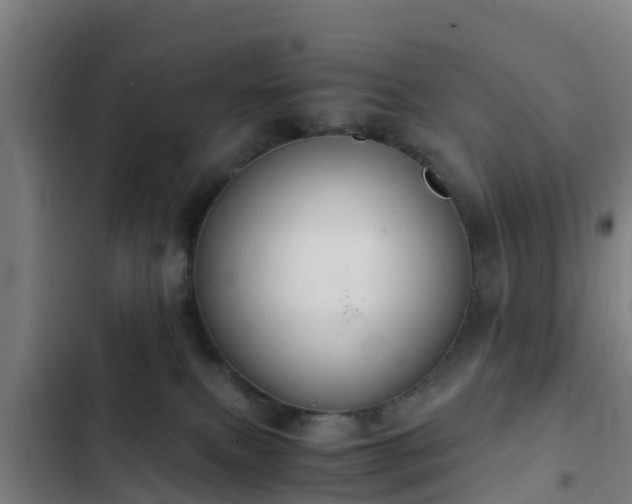 X0000103140087200808291349