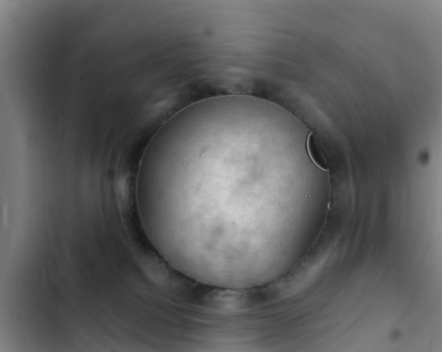 X0000103140088200808291350