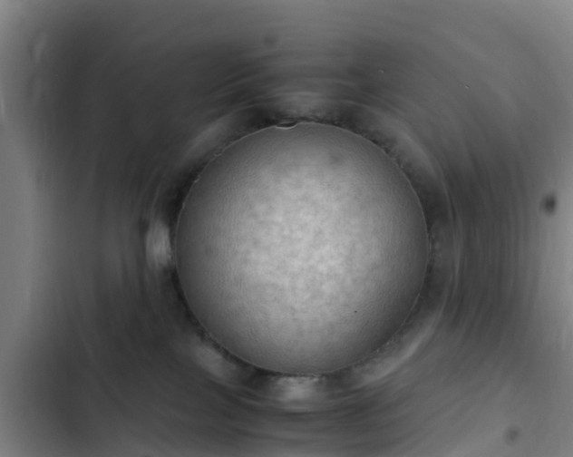 X0000103140089200808291350