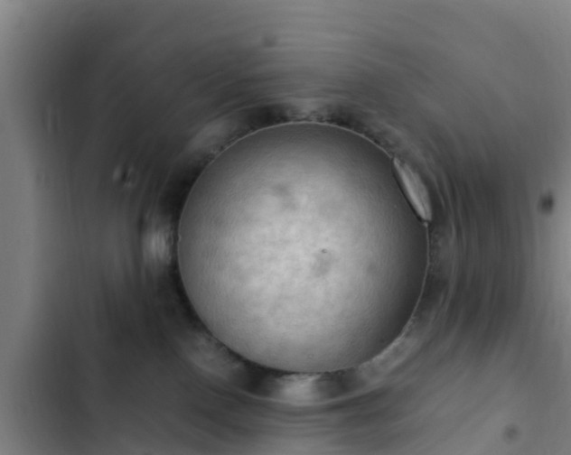 X0000103140090200808291350