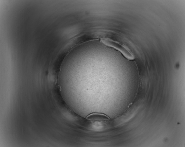 X0000103140091200808291350