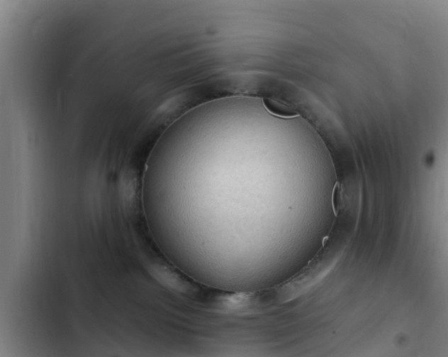 X0000103140092200808291350