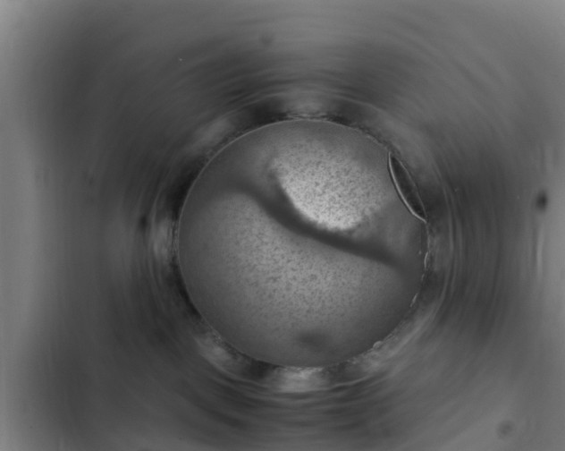 X0000103140093200808291350