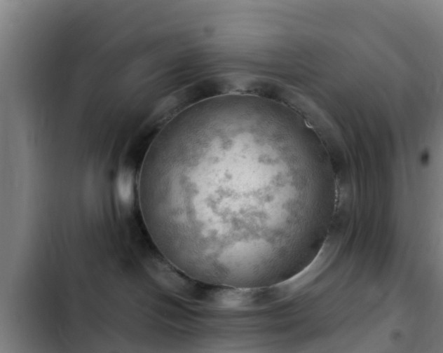 X0000103140094200808291350