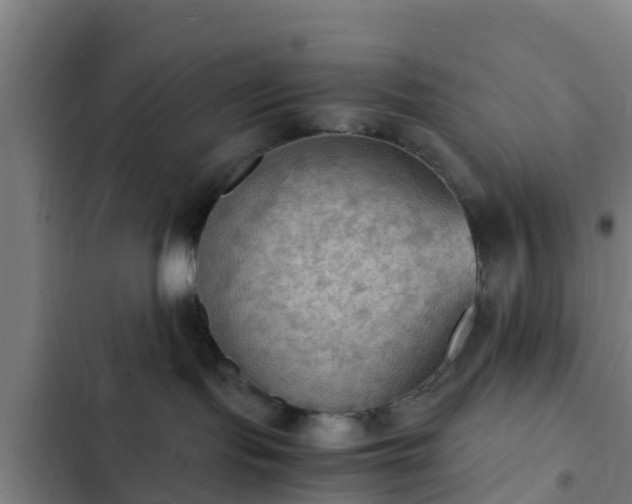 X0000103140095200808291350