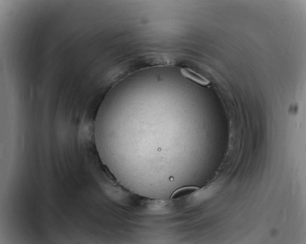 X0000103140096200808291350