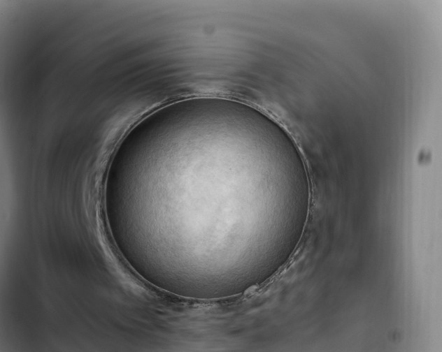 X0000103140097200808291349