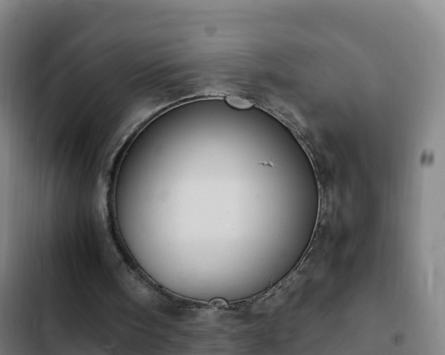 X0000103140098200808291349