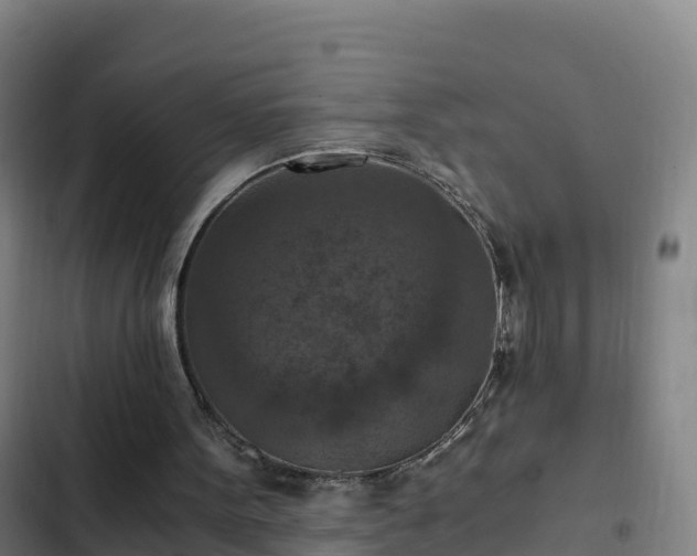 X0000103140099200808291349