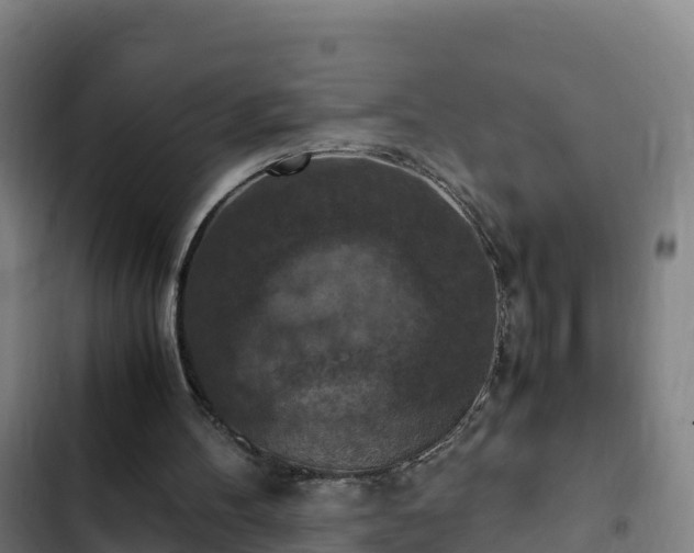 X0000103140100200808291349