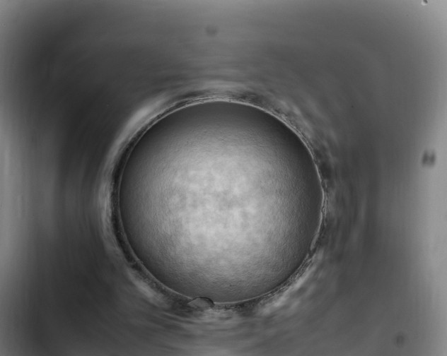 X0000103140101200808291349