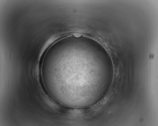 X0000103140102200808291349