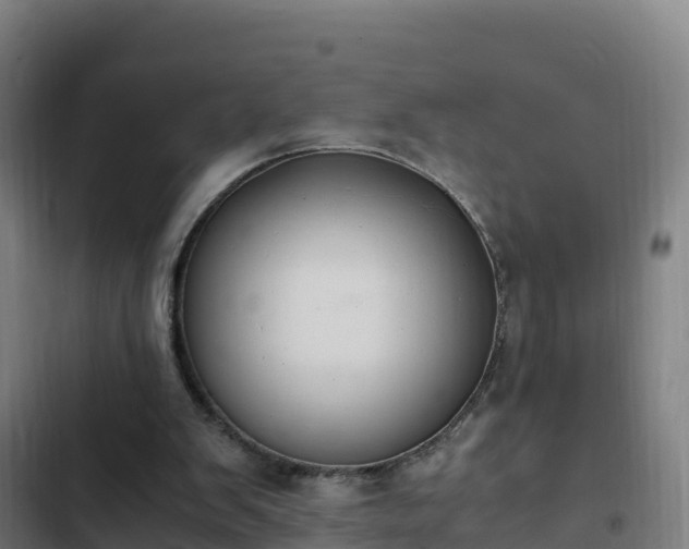 X0000103140103200808291349