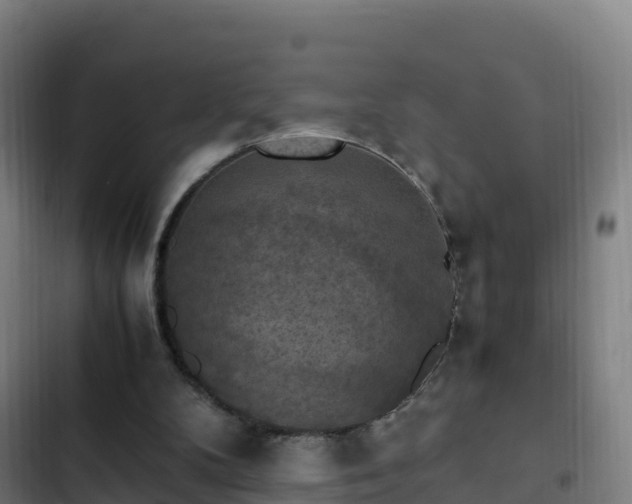 X0000103140104200808291349