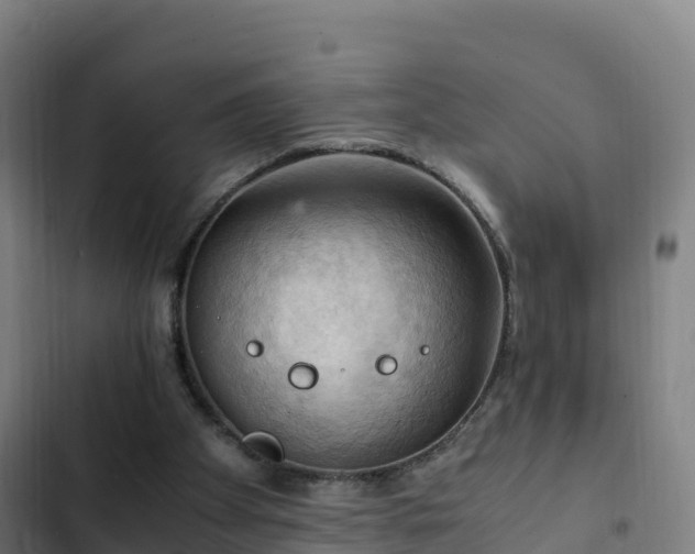 X0000103140105200808291349