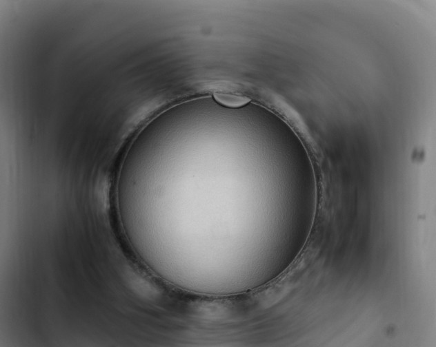 X0000103140106200808291348