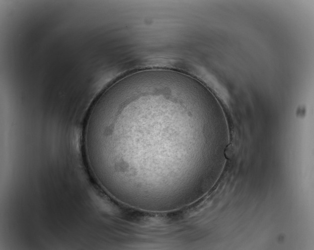 X0000103140107200808291348