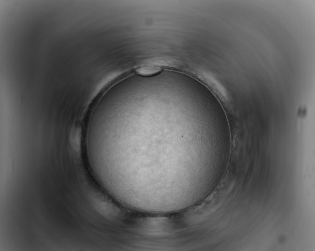 X0000103140108200808291348