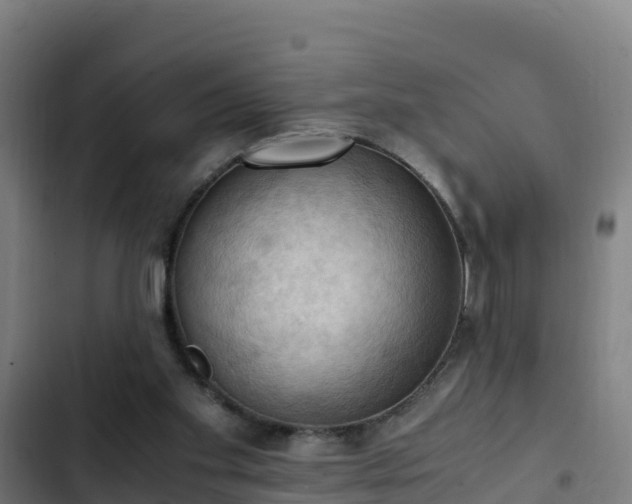 X0000103140109200808291348