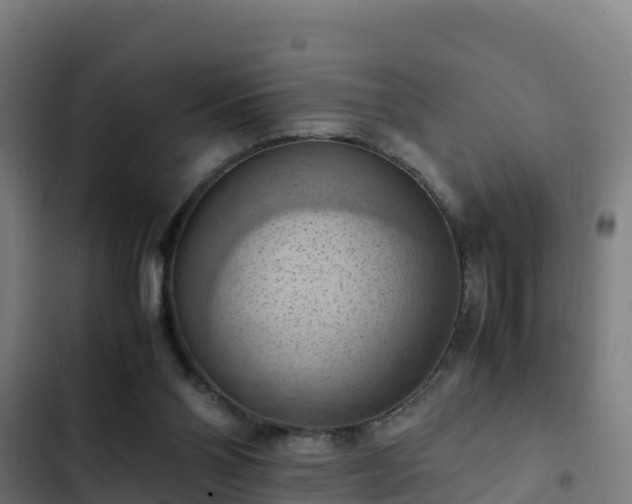 X0000103140110200808291348