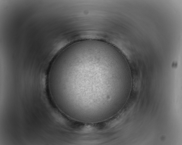 X0000103140111200808291348